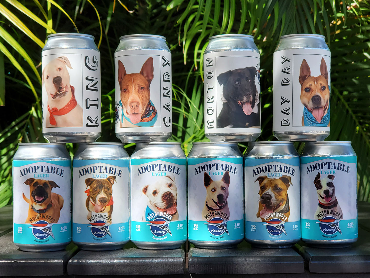 Adoptanle Lager project image