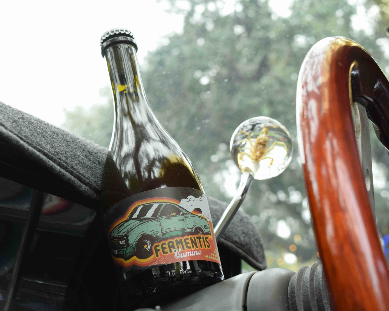 Fermentis Camino project image