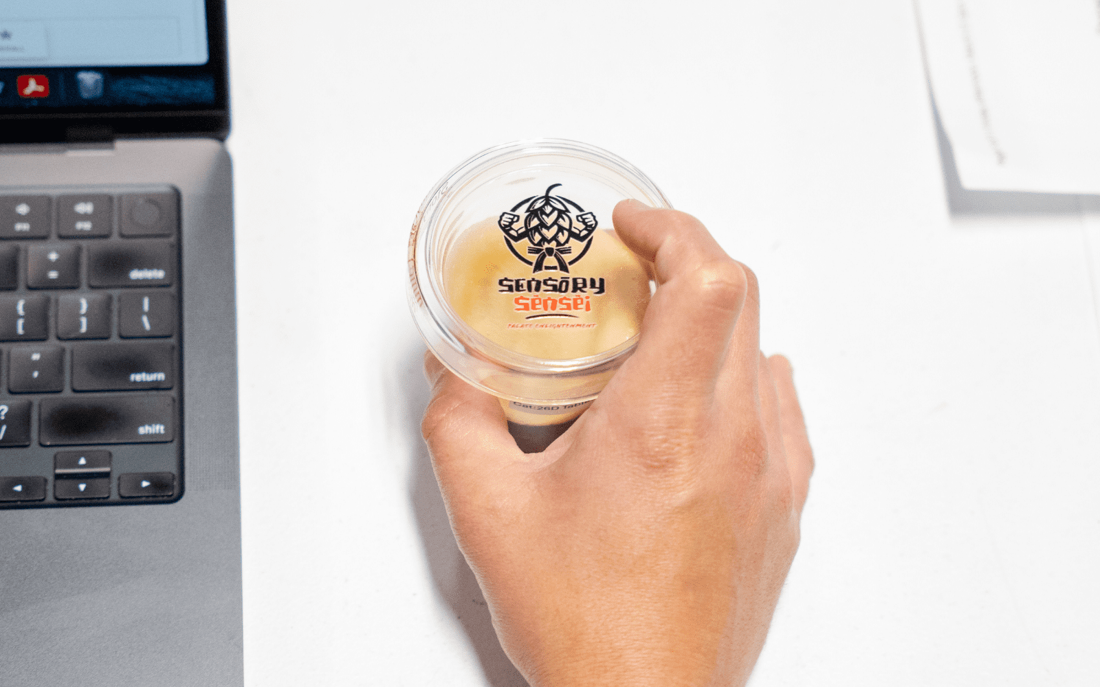 sensei lid